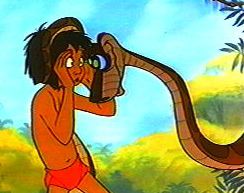 Kaa tries to hypnotize Mowgli