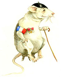 The old French rat.